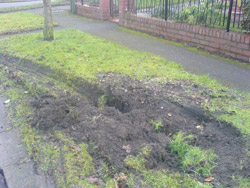 verge damage 2